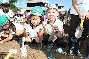 エンゼル自然体験農園でおいもほり　　年長