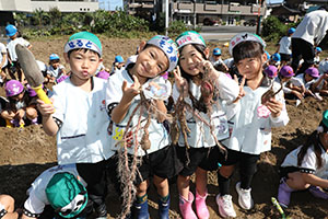 エンゼル自然体験農園でおいもほり　　年長
