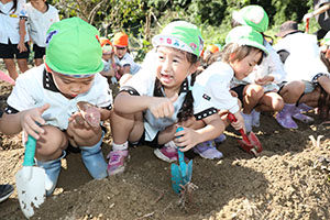 エンゼル自然体験農園でおいもほり　　年長