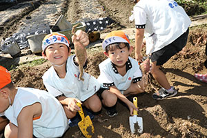 エンゼル自然体験農園でおいもほり　　年長