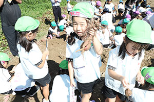 エンゼル自然体験農園でおいもほり　　年長