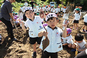 エンゼル自然体験農園でおいもほり　　年長