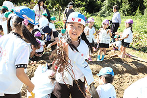エンゼル自然体験農園でおいもほり　　年長