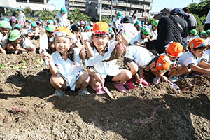 エンゼル自然体験農園でおいもほり　　年長