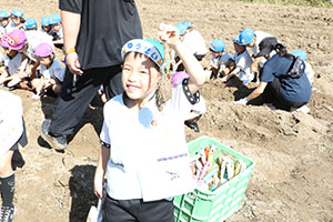エンゼル自然体験農園でおいもほり　　年長