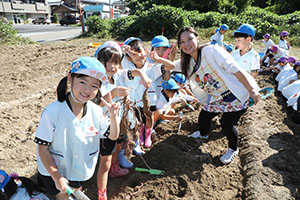 エンゼル自然体験農園でおいもほり　　年長
