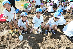 エンゼル自然体験農園でおいもほり　　年長