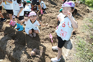 エンゼル自然体験農園でおいもほり　　年長