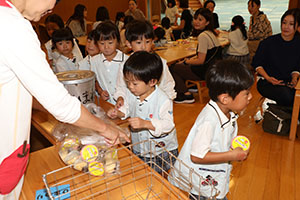 給食参観🍴給食試食会　　ひまわり