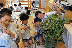 枝豆とさつまいもなどの絵を描きました　B