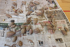 枝豆とさつまいもなどの絵を描きました　B