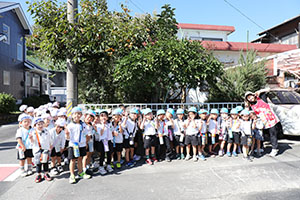 お散歩へでかけました　さくら・たんぽぽ