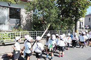 お散歩へでかけました　さくら・たんぽぽ