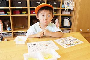 元気いっぱい自由遊び　ひよこ・あひる・ぺんぎん