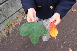 お散歩（公園）にでかけました　D
