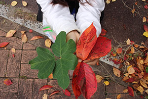 お散歩（公園）にでかけました　D