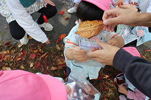 お散歩楽しかったね　ぺんぎん・ひよこ