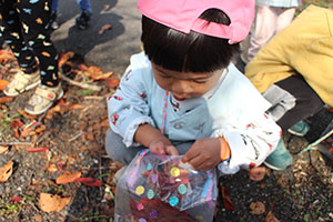 お散歩楽しかったね　ぺんぎん・ひよこ