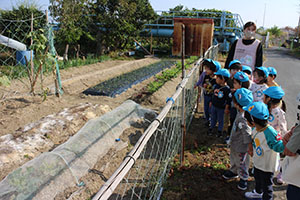 お散歩楽しかったね　ぺんぎん・ひよこ