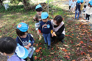 お散歩楽しかったね　ぺんぎん・ひよこ