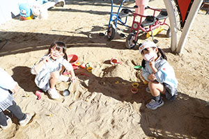 園庭遊び　年中Bチーム（ひまわり・さくら・たんぽぽ）