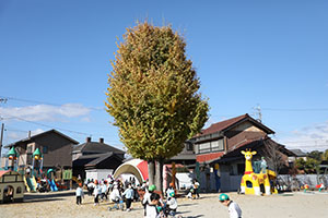 朝の園庭遊び！　A・B・C・E