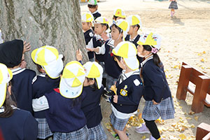 エンゼル幼稚園70周年おめでとう　ぱんだ