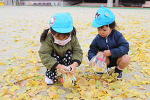 フクロウを作りました🦉　ぺんぎん