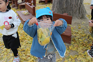 フクロウを作りました🦉　ぺんぎん