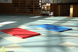 スポーツフェスタ開催★　うさぎ・りす・ことり