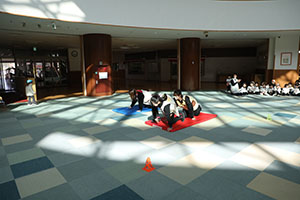 スポーツフェスタ開催★　うさぎ・りす・ことり