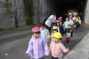 お散歩へでかけました　あひる・ばら