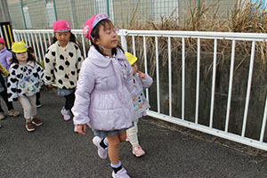 お散歩へでかけました　あひる・ばら