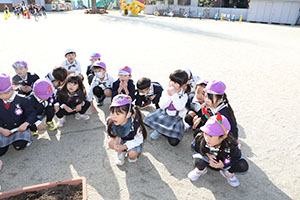 チューリップの球根を植えました🌷　A・C