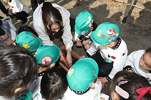 チューリップの球根を植えました🌷　A・C