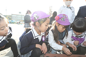 チューリップの球根を植えました🌷　A・C