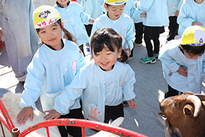 ふれあい動物園　たのしかったね　年少組
