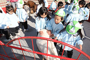 ふれあい動物園　たのしかったね　年少組