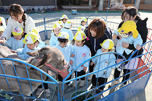 ふれあい動物園　たのしかったね　年少組