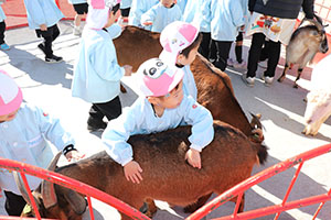 ふれあい動物園　たのしかったね　年少組