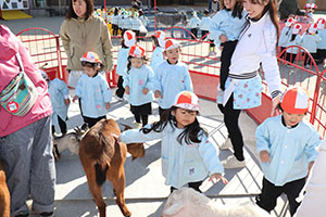 ふれあい動物園　たのしかったね　年少組