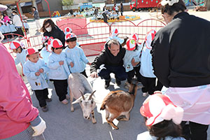 ふれあい動物園　たのしかったね　年少組
