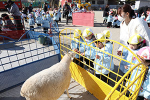 ふれあい動物園　たのしかったね　年少組