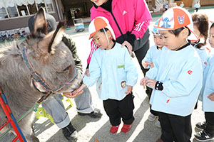 ふれあい動物園　たのしかったね　年少組