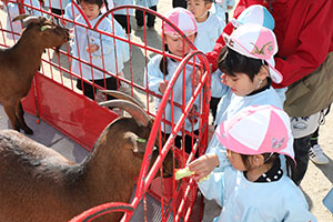 ふれあい動物園　たのしかったね　年少組