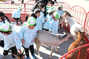 ふれあい動物園　たのしかったね　年少組