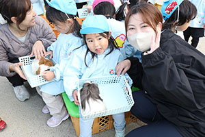 ふれあい動物園　たのしかったね　年中組　ひよこ・あひる・ぺんぎん　NO.2