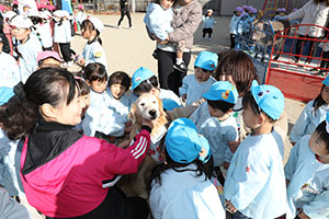 ふれあい動物園　たのしかったね　年中組　ひよこ・あひる・ぺんぎん　NO.2