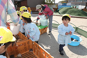 ふれあい動物園　たのしかったね　年中組　ひよこ・あひる・ぺんぎん　NO.2