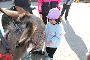 ふれあい動物園　たのしかったね　年中組　ひよこ・あひる・ぺんぎん　NO.2